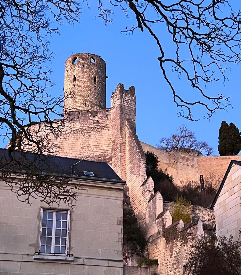 Le Rabelais, Superbe Appartement En Duplex, Proche Forteresse Et Monument Historique 시농 외부 사진